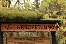 Arboretum Norr,  malowniczo położone nad rzeką Ume[.