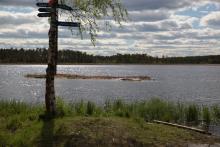 Całkiem niedaleko od Umeå położone jest to śliczne i malownicze jezioro. 