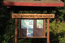 Jesienne Arboretum Norr.