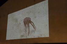 Stacja 11, Anima, ożywienie rysunku ośmiornicy, wykonane węglem, projekcja na ścianę budynku.